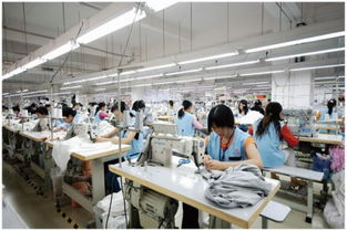 越南6月份服裝及紡織生產(chǎn)穩(wěn)步增長，金屬材料銷售表現(xiàn)穩(wěn)健